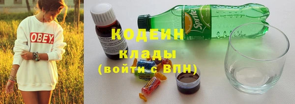 винт Костерёво