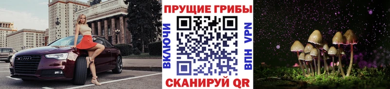 Купить где  Артём  Галлюциногенные грибы прущие грибы 