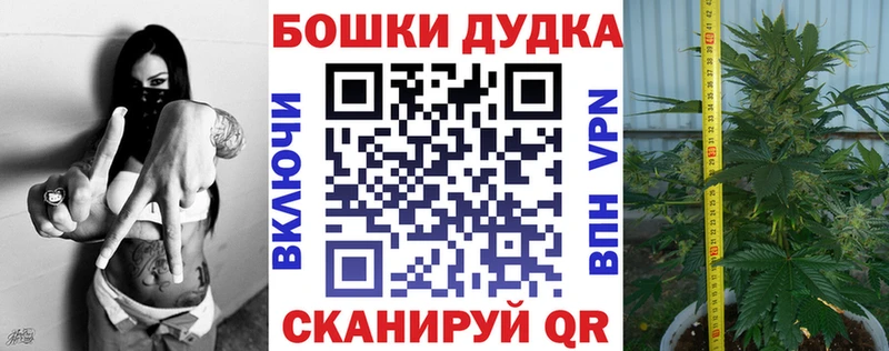 Каннабис THC 21%  Купить закладки  Артём 